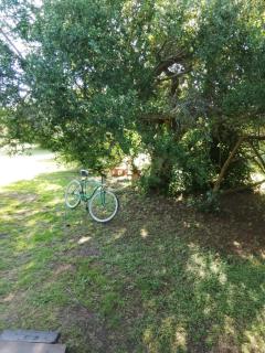 La casita del bosque - 2