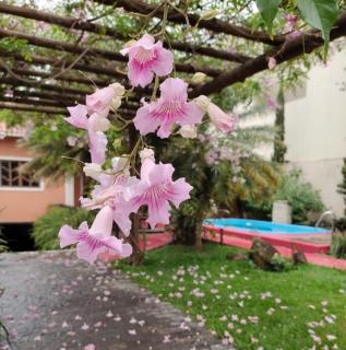 Sossego Ponta da Fruta - 9