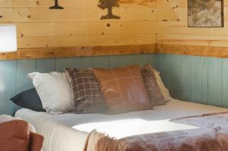 NEW! BEAR Necessities tiny home, outdoor theater! - 3