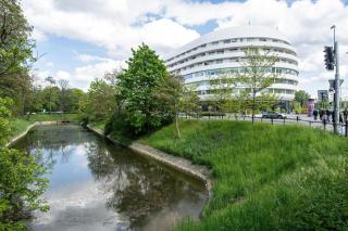 Premium Studio in OVO - 7