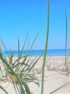 Lavender14 - łoże typu Quenn, balkon i własny tasar - 1