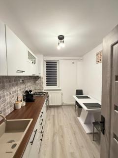 Luna Music Apartment - Craiova - 4