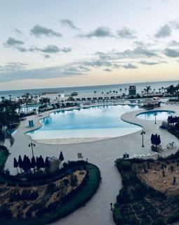 Porto Excellent Ground Floor Apartments with Two Gardens - 5