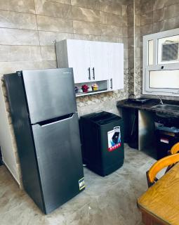 Porto Excellent Ground Floor Apartments with Two Gardens - 2