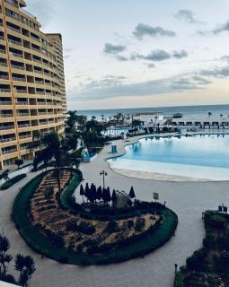 Porto Excellent Ground Floor Apartments with Two Gardens - 1