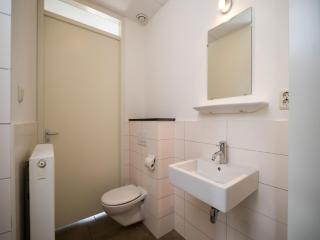 Tail-Wagging Lake Escape - 4