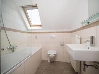 Tail-Wagging Lake Escape - 2