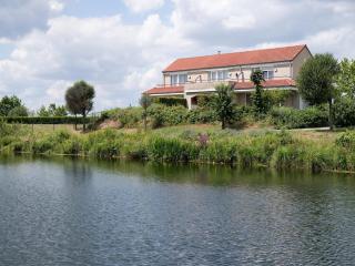 Pet-Friendly Getaway - 0