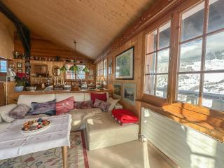 Chalet le Moulin - calme, nature, cheminée, vue - 3