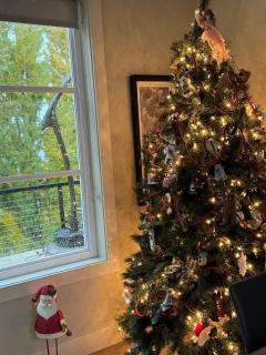 Hello Sunshine #51 - Chelan - 7