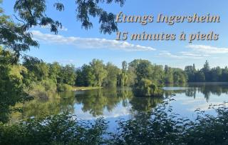 Gîte Bretzel et Grappe - 4