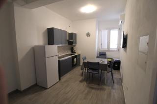 Caretta caretta Home - 9