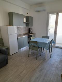 Caretta caretta Home - 8