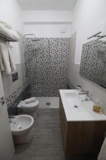 Caretta caretta Home - 7