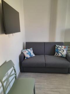 Caretta caretta Home - 6