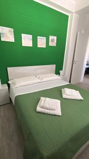 Caretta caretta Home - 4