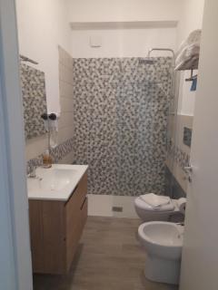 Caretta caretta Home - 3