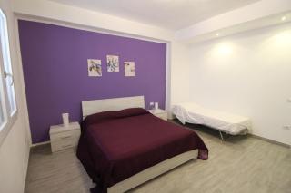 Caretta caretta Home - 2