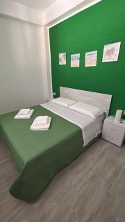 Caretta caretta Home - 1