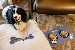 The Westin Irving Convention Center at Las Colinas - 9