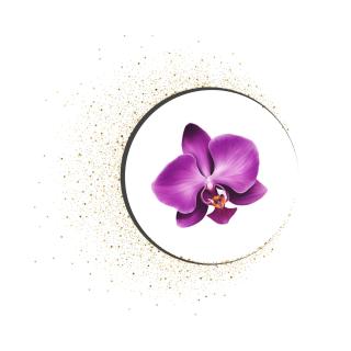 Orchidea Placeholder - Okanagan Falls - 2