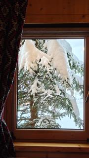 Domki u Jacka Sauna & Relax z widokiem na góry - 3