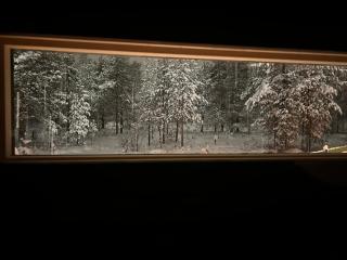 Arctic circle cabin 2 - 7