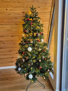 Cabana A-frame Apuseni - 9