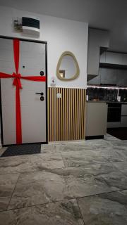 Apartament Central Podu Ros - 2