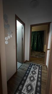 Apartament Central Podu Ros - 1