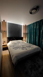 Apartament Central Podu Ros - 9