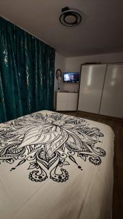 Apartament Central Podu Ros - 5