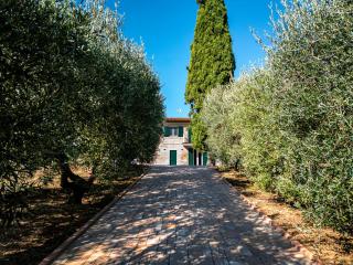 Il Grande Cipresso B&B - 4