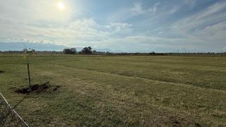 Culaj's campsite - 5