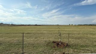 Culaj's campsite - 4