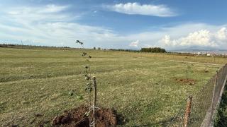 Culaj's campsite - 3