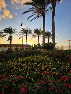 Elabd Family Porto Chalet - 8