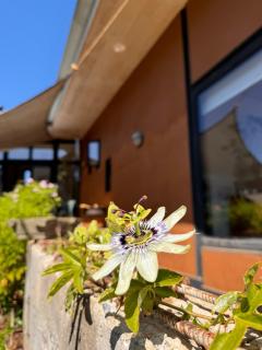 Casa Playa y Bosque - 8