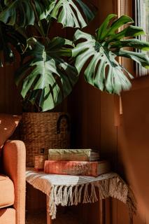 Geoff's - beach, bush and bliss - 2