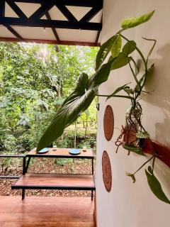 Tropical Getaway JUNGLE BLISS from the Jungle to the Beach - 1