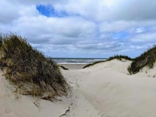 6 person holiday home in Henne - 2