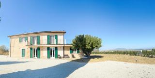 Il Grande Cipresso B&B - 2