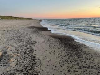 4 person holiday home in Hvide Sande - 2