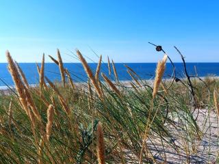 6 person holiday home in Hvide Sande - 6