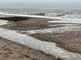 6 person holiday home in Hvide Sande - 4