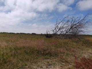 6 person holiday home in Hvide Sande - 5