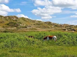 Holiday Oasis in Houstrup Nature - 1