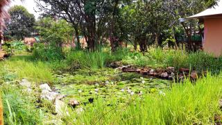 Kampi Ya Boma Kolwezi - 2