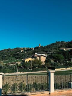 Il Grande Cipresso B&B - 6