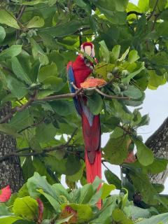 Luxury Oceanfront Penthouse w Loft and 2 Balconies - 8
